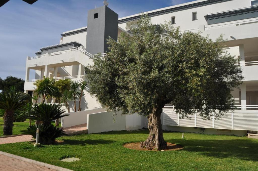 Oasis Hoyo 12 - Oliva Nova Playa Met&Golf Lägenhet Exteriör bild