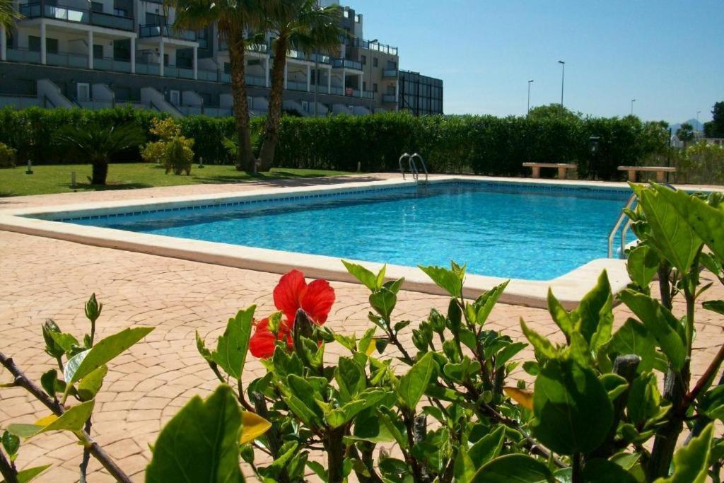 Oasis Hoyo 12 - Oliva Nova Playa Met&Golf Lägenhet Exteriör bild